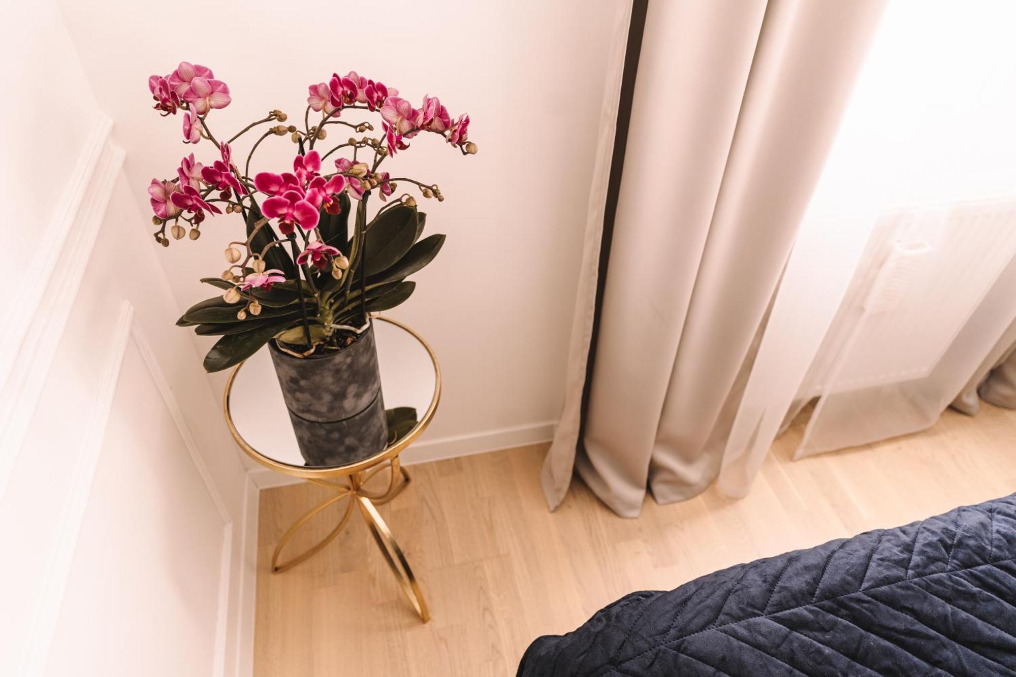 Flexible Selfcheckins 66 - Zagreb - Loggia - 80M2 - New - Luxury - Garage - 2 Bedrooms Kültér fotó